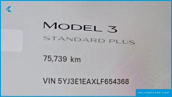 TESLA MODEL 3 STANDARD RANGE PLUE RWD