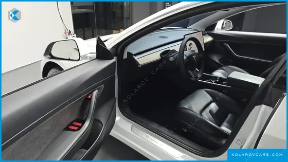 TESLA MODEL 3 STANDARD RANGE PLUE RWD