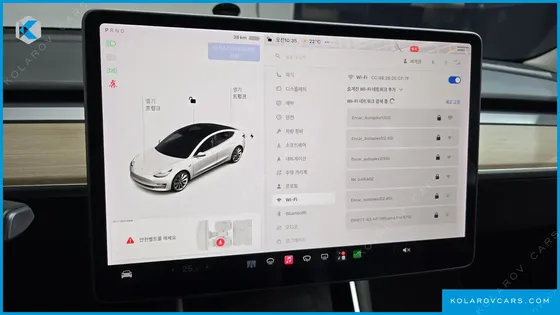 TESLA MODEL 3 STANDARD RANGE PLUE RWD