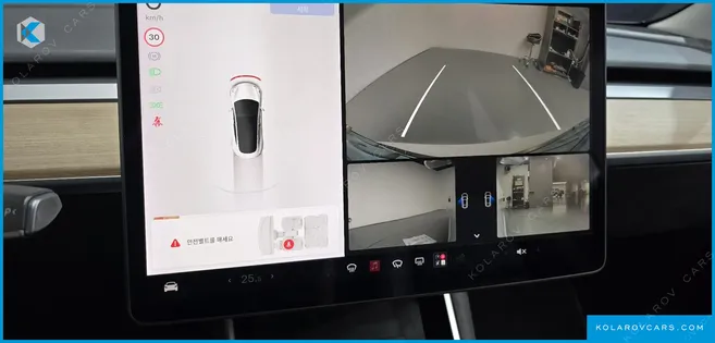 TESLA MODEL 3 STANDARD RANGE PLUE RWD