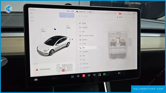 TESLA MODEL 3 STANDARD RANGE PLUE RWD