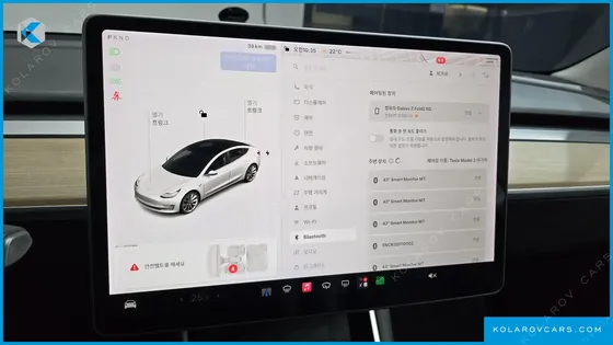 TESLA MODEL 3 STANDARD RANGE PLUE RWD