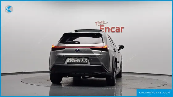 LEXUS UX 2.0 AWD