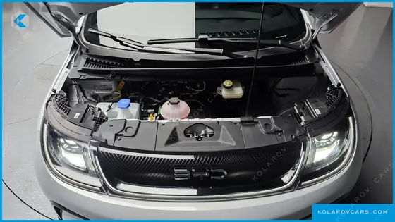 BYD DOLPHIN BASE