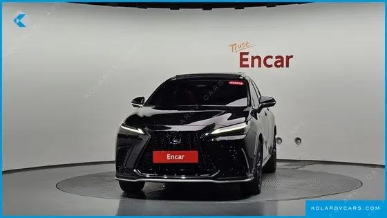 LEXUS NX F-SPORT