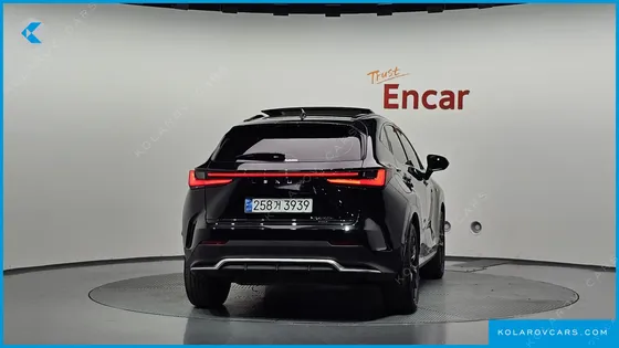 LEXUS NX F-SPORT