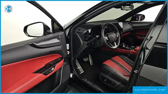 LEXUS NX F-SPORT