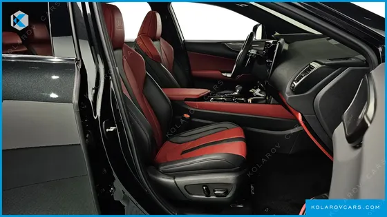 LEXUS NX F-SPORT