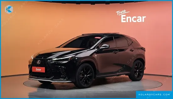 LEXUS NX F-SPORT