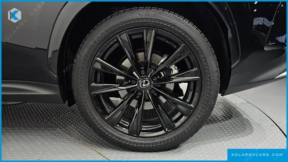 LEXUS NX F-SPORT