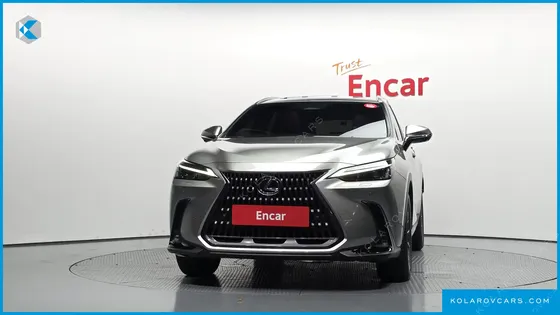 LEXUS NX PREMIUM