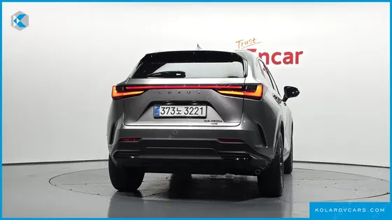 LEXUS NX PREMIUM