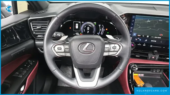 LEXUS NX PREMIUM