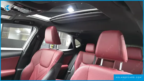 LEXUS NX PREMIUM