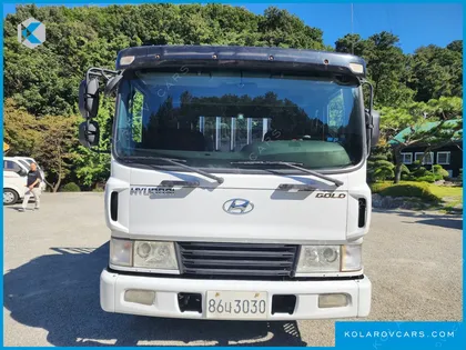 HYUNDAI MEGA TRUCK GOLD
