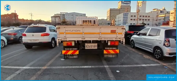 HYUNDAI MEGA TRUCK GOLD
