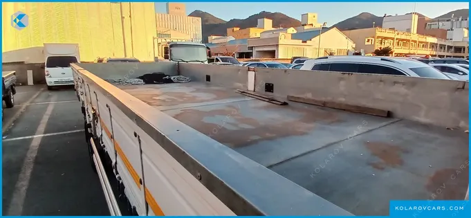 HYUNDAI MEGA TRUCK GOLD