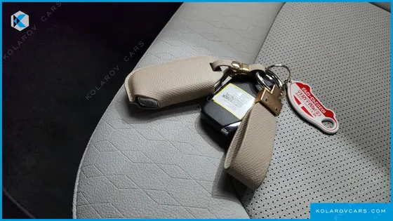 KIA RAY SIGNATURE