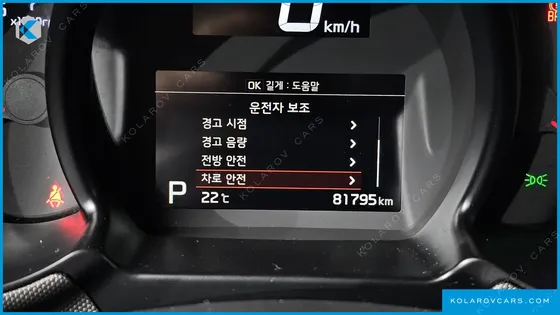 KIA RAY SIGNATURE