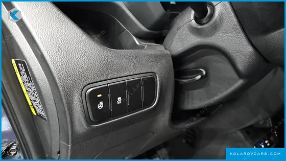 KIA RAY SIGNATURE