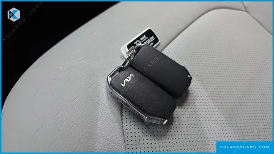 KIA RAY SIGNATURE