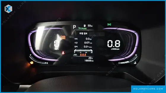 KIA RAY SIGNATURE