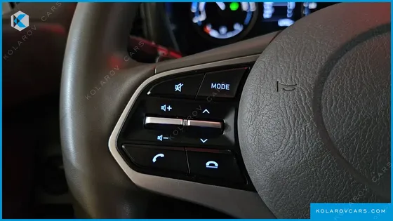 HYUNDAI PORTER II SUPER CAP ELECTRIC(EV)