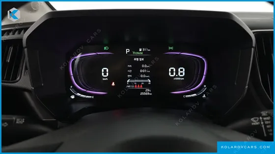 KIA RAY SIGNATURE