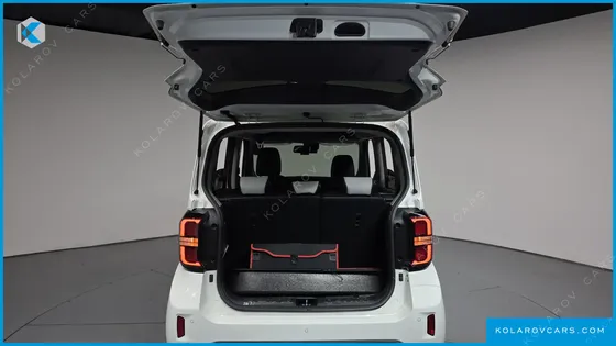 KIA RAY SIGNATURE