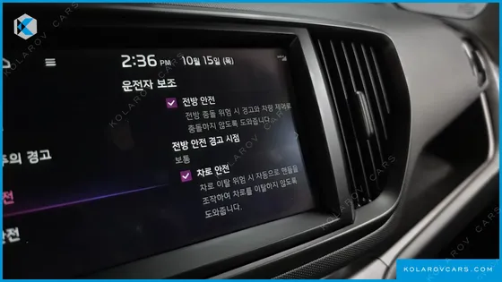KIA RAY SIGNATURE