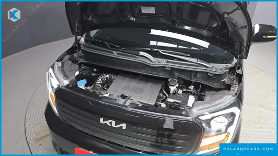KIA RAY SIGNATURE