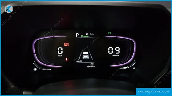 KIA RAY SIGNATURE