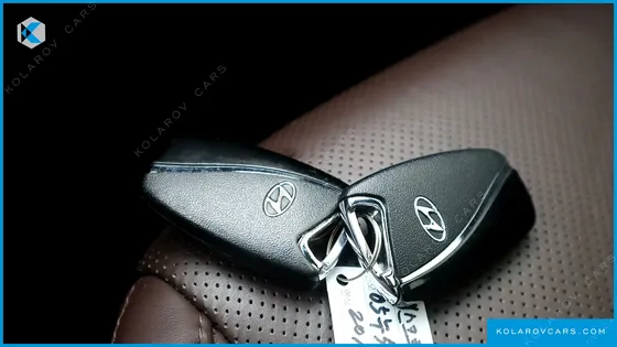 HYUNDAI MAXCRUISE GAS 3.3 2WD