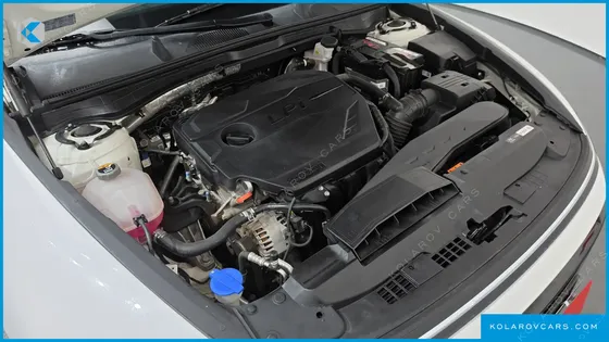 HYUNDAI SONATA 2.0 LPG(RENT)