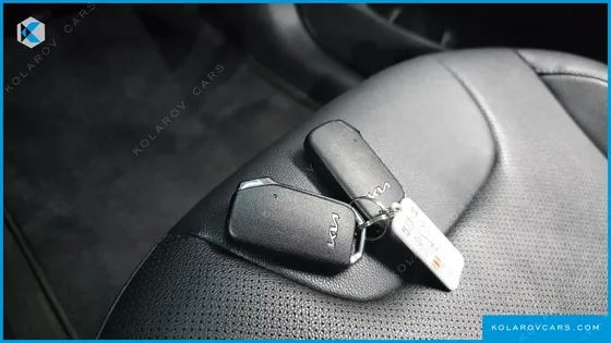 KIA NIRO EARTH