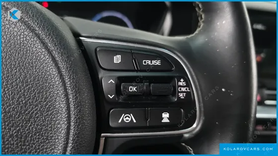 KIA NIRO EARTH