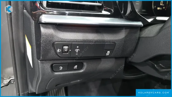 KIA NIRO EARTH