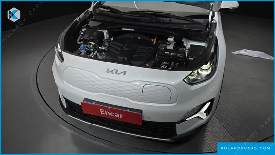 KIA NIRO EARTH