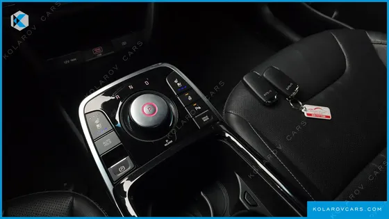 KIA NIRO EARTH