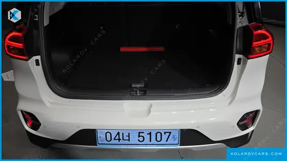 KIA NIRO EARTH