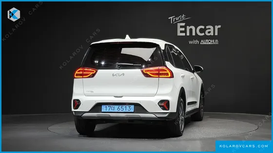 KIA NIRO EARTH
