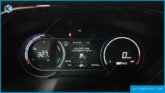 KIA NIRO EARTH