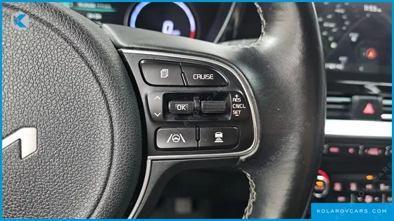 KIA NIRO EARTH