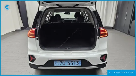 KIA NIRO EARTH