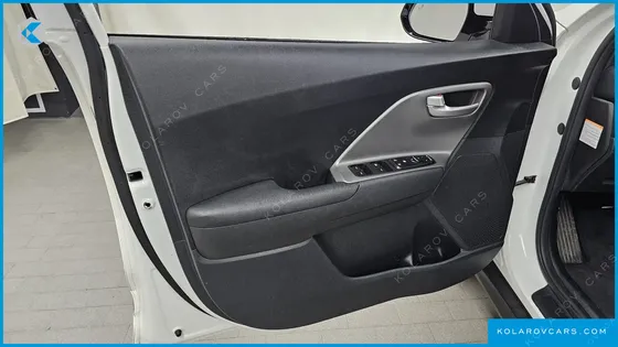 KIA NIRO EARTH