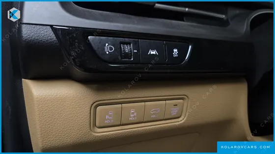KIA CARNIVAL GASOLINE 9-SEATER SIGNATURE