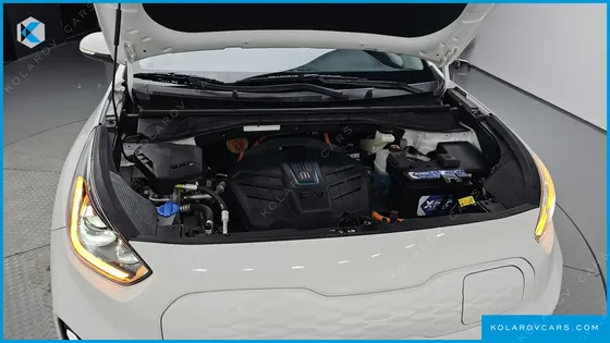KIA NIRO EARTH