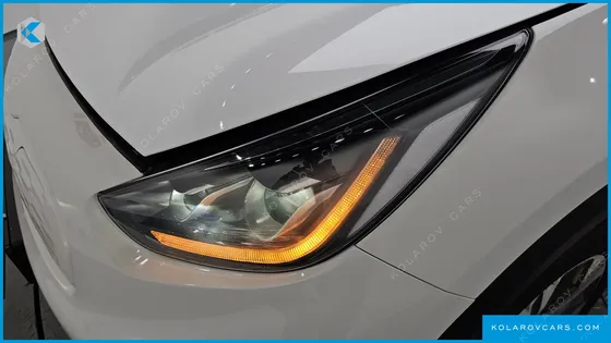 KIA NIRO EARTH