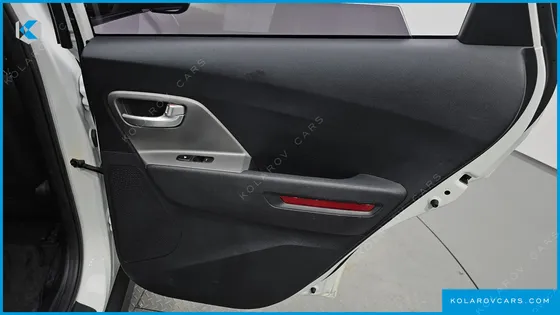 KIA NIRO EARTH