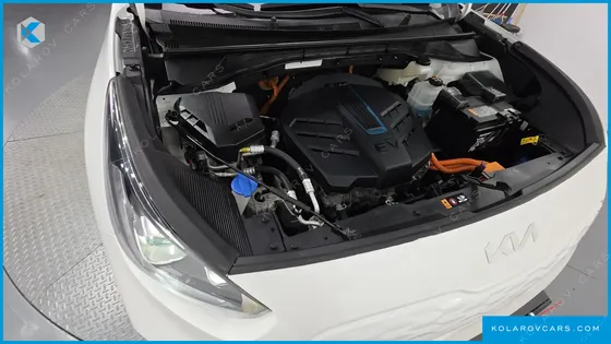 KIA NIRO EARTH